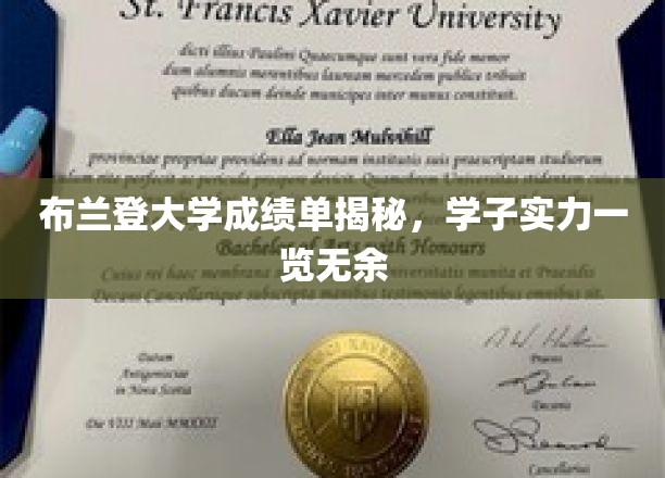 布兰登大学学子风采大揭秘，成绩单背后的实力与才华