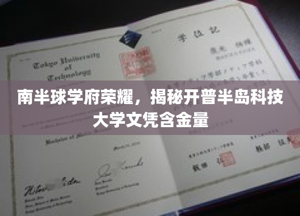 开普半岛科技大学的南半球光环，一探文凭背后的价值与荣耀