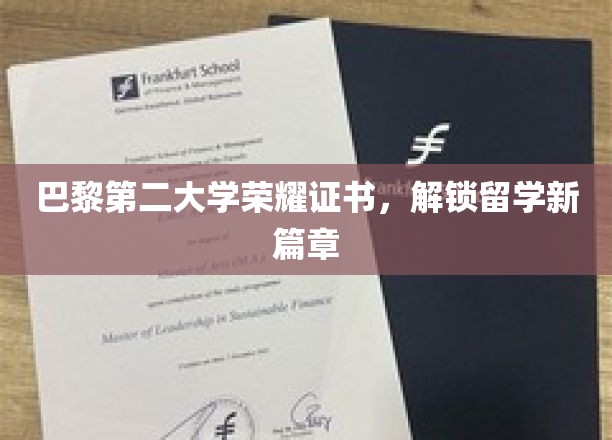 探索巴黎第二大学荣耀，开启留学梦想之门
