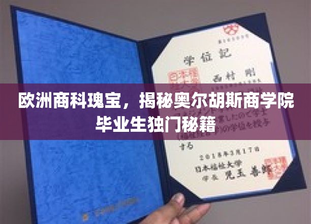 欧洲商科精英摇篮，奥尔胡斯商学院毕业生独门成功之道大揭秘