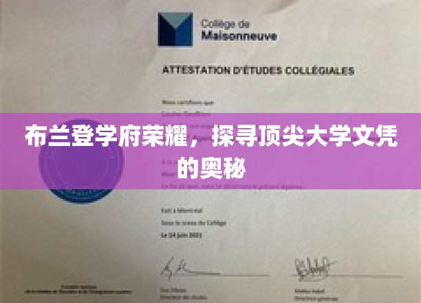 解码布兰登学府，揭秘顶尖大学文凭背后的非凡魅力