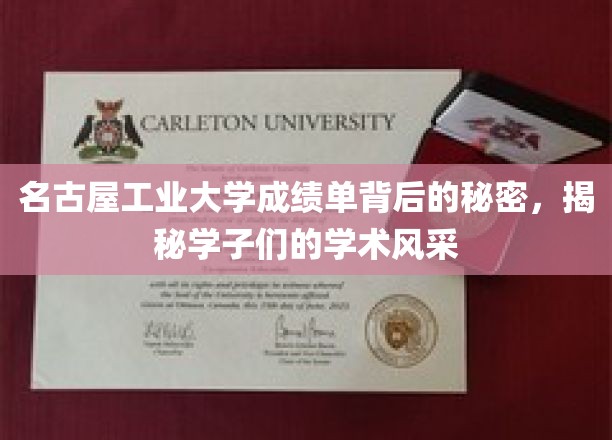 名古屋工业大学成绩单背后的秘密，揭秘学子们的学术风采