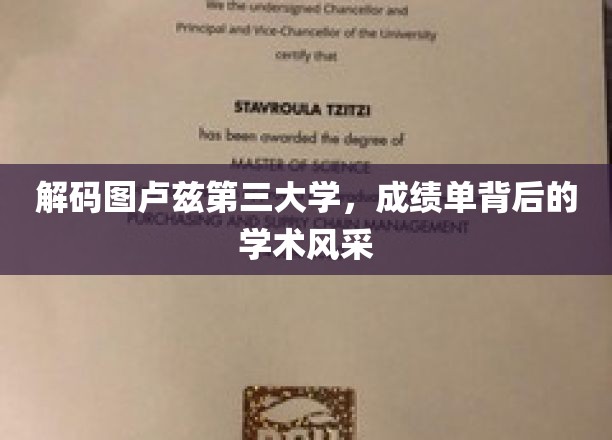 解码图卢兹第三大学，成绩单背后的学术风采