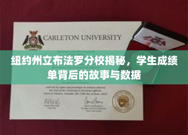纽约州立布法罗分校揭秘，学生成绩单背后的故事与数据