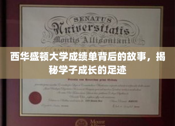 探寻西华盛顿大学学子足迹，揭开成绩单背后的成长奥秘