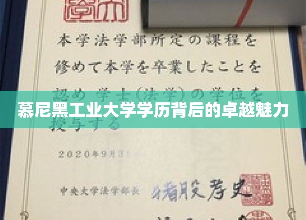 解码慕尼黑工业大学，学历之光下的非凡魅力