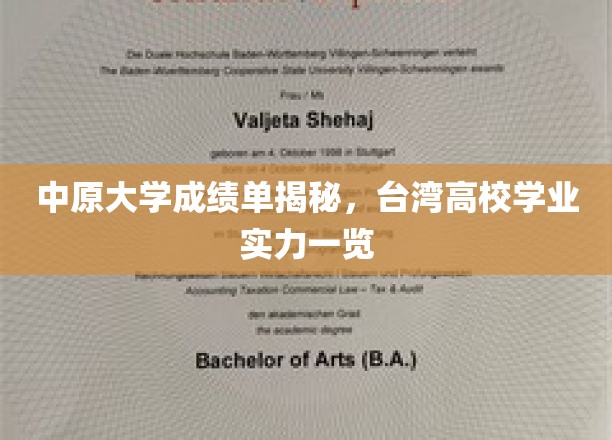解码中原大学成绩单，一窥台湾高校学术风采