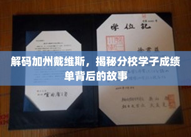 加州戴维斯分校学霸养成记，揭秘学子非凡成绩背后的秘密