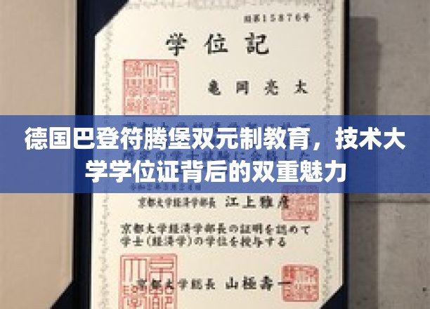 探索巴登符腾堡双元制教育，技术大学学位证的独特魅力与德国教育精髓