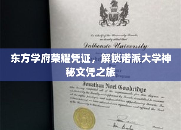 东方学府荣耀凭证，开启诺派大学神秘文凭之旅