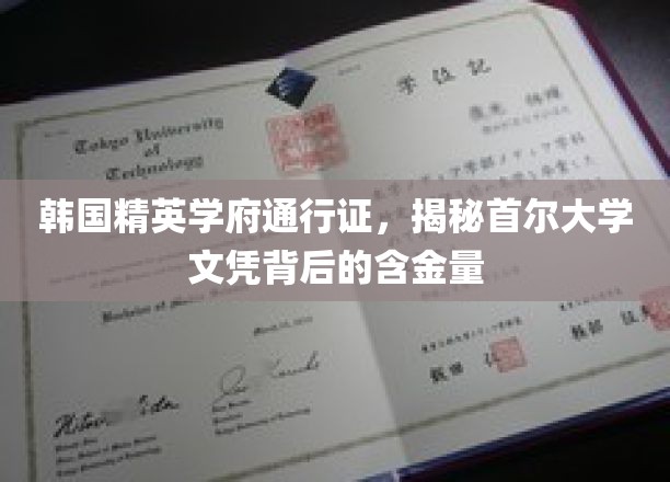 首尔大学文凭价值几何？一探韩国顶尖学府的秘密通行证