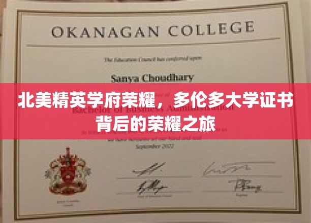 多伦多大学荣耀通行证，揭秘北美精英学府的辉煌成就之路
