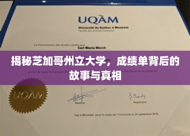 芝加哥州立大学成绩单，揭开学术成就的神秘面纱