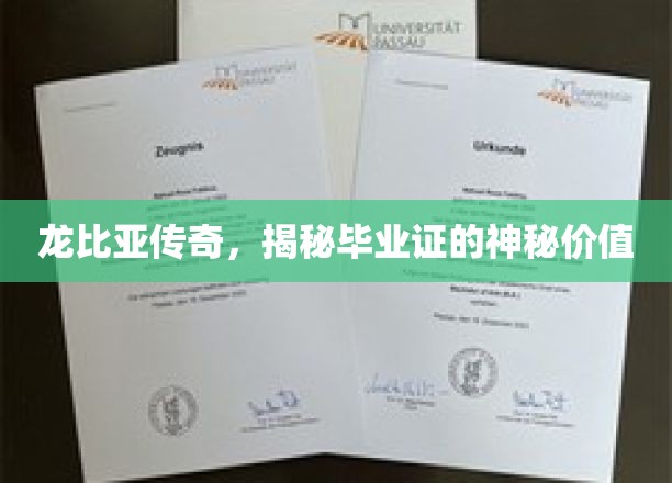 毕业证背后的龙比亚传奇，揭开神秘价值的神秘面纱