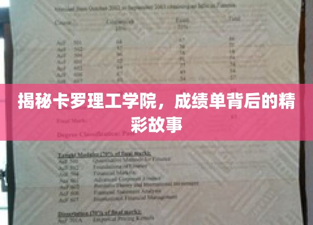 卡罗理工学院成绩单背后的传奇篇章