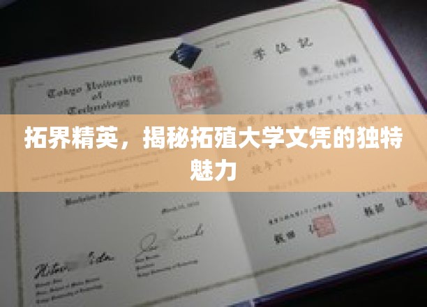 拓界精英，揭秘拓殖大学文凭的独特魅力