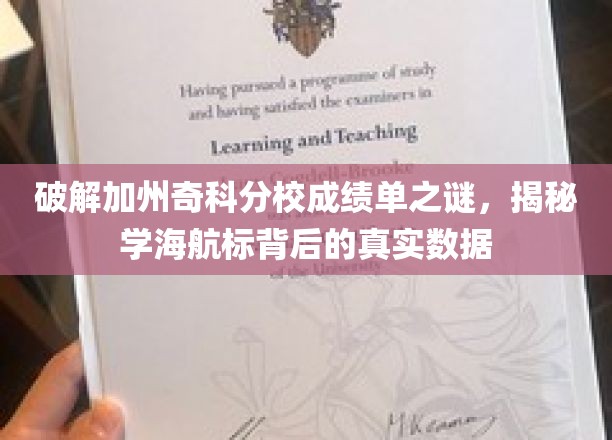 揭开加州奇科分校成绩单之谜，探寻学海航标背后的真实数据