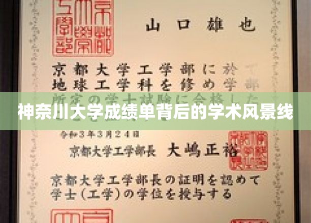 神奈川大学成绩单，解码学术风景线之谜
