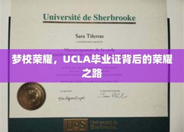 UCLA荣耀见证，毕业证背后的璀璨奋斗历程