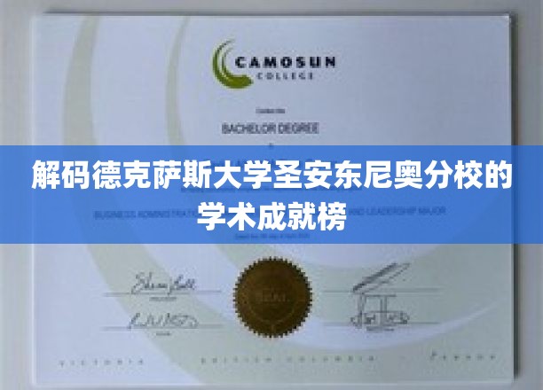 解码德克萨斯大学圣安东尼奥分校的学术成就榜