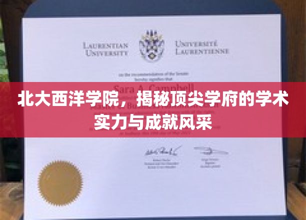 北大西洋学院：一探究竟，揭秘顶尖学府的学术实力与卓越风采