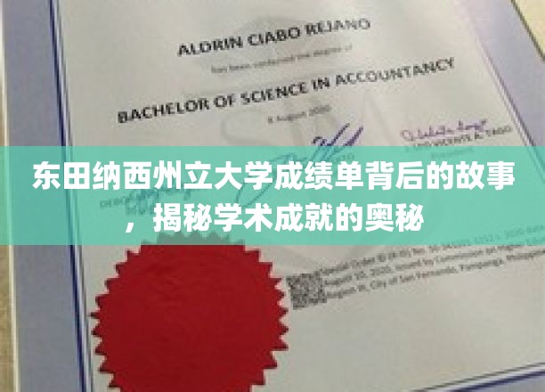 东田纳西州立大学成绩单背后的故事，揭秘学术成就的奥秘