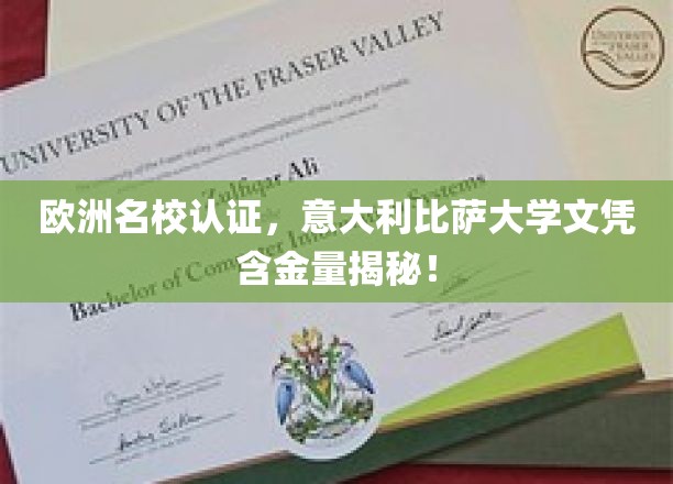 欧洲名校认证，意大利比萨大学文凭含金量揭秘！