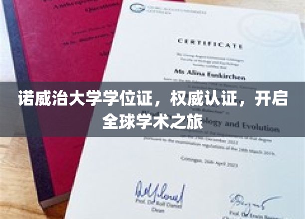全球通行证，诺威治大学学位证助你启航学术新篇章