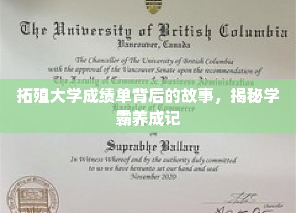 拓殖学霸养成记，揭开成绩单背后的不凡历程