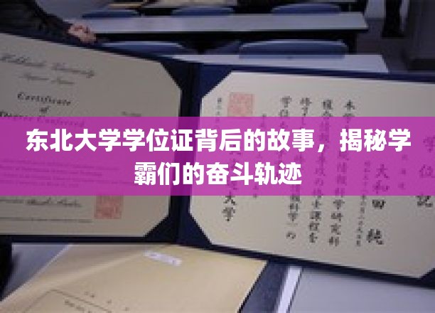 东北学霸之路，学位证背后的奋斗传奇