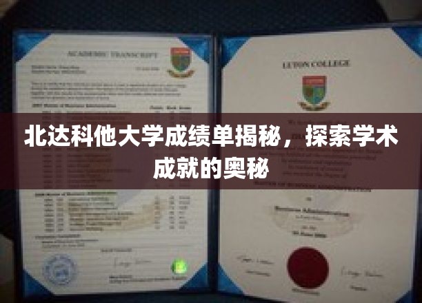 解码北达科他大学成绩单，探寻学术辉煌的秘密钥匙