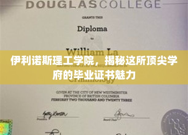 伊利诺斯理工学院毕业证书，解码顶尖学府的荣耀象征
