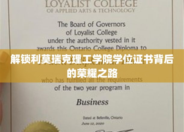 探索利莫瑞克理工学院荣耀学位的神秘旅程
