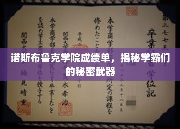诺斯布鲁克学院成绩单，揭秘学霸们的成功秘诀