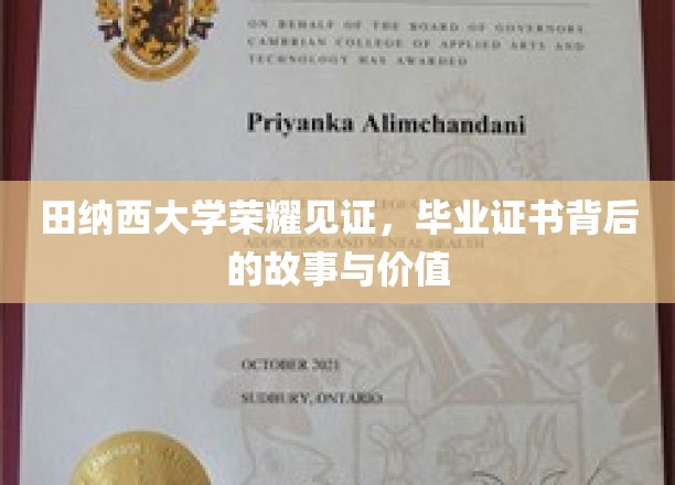 田纳西荣耀，毕业证书背后的传奇与珍贵印记