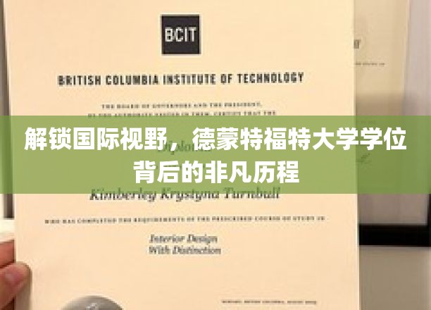 跨越国界，德蒙特福特大学学位之旅的精彩启示