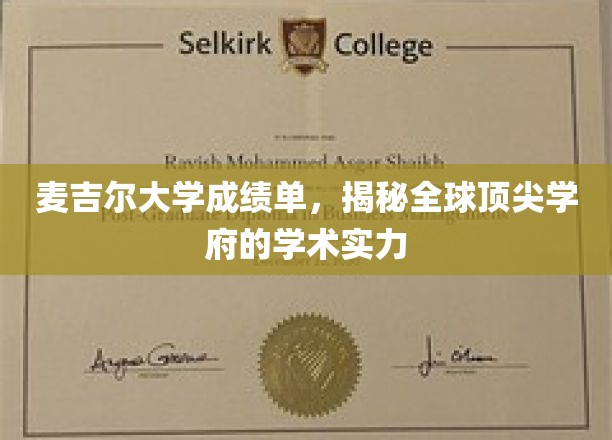 麦吉尔大学成绩单，揭秘全球顶尖学府的学术实力