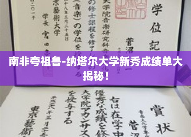 南非夸祖鲁-纳塔尔大学新秀成绩单大揭秘！