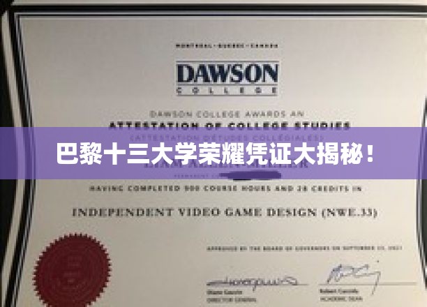 巴黎十三大学荣耀凭证大揭秘！