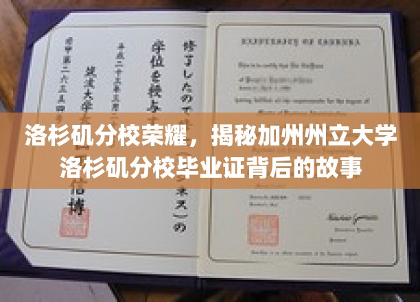 加州州立大学洛杉矶分校毕业证，揭开荣耀背后的神秘面纱