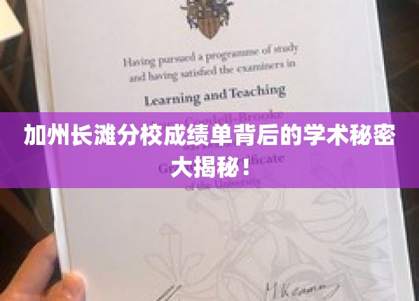 加州长滩分校成绩单背后的学术秘密大揭秘！