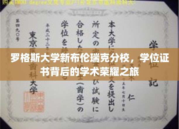罗格斯大学新布伦瑞克分校，学位证书背后的学术荣耀之旅