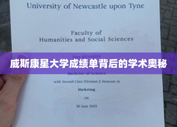 威斯康星大学成绩单背后的学术奥秘