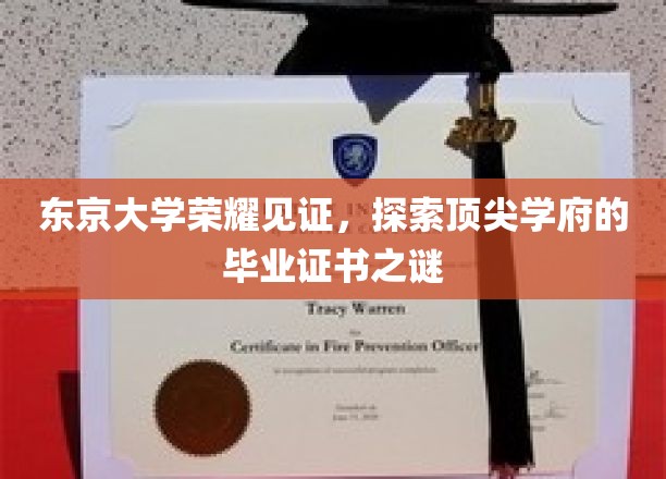 解码东京大学荣耀，揭秘毕业证书背后的传奇故事