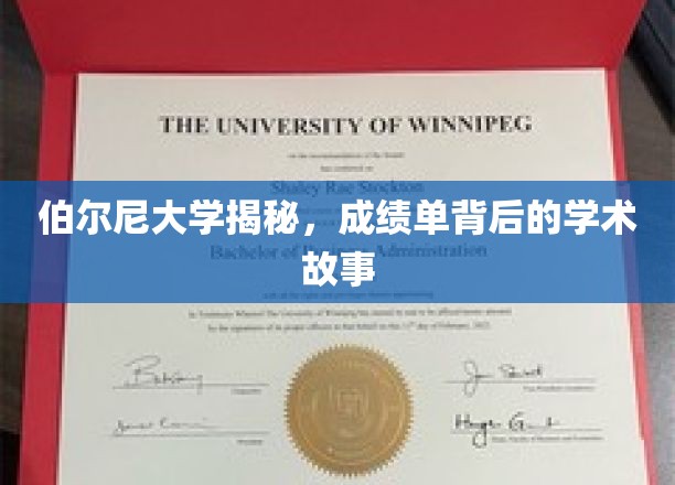 揭开伯尔尼大学成绩单背后的学术奥秘