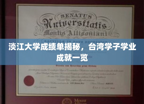 台湾高校学霸风采，淡江大学成绩单曝光，台湾学子学术实力大揭秘