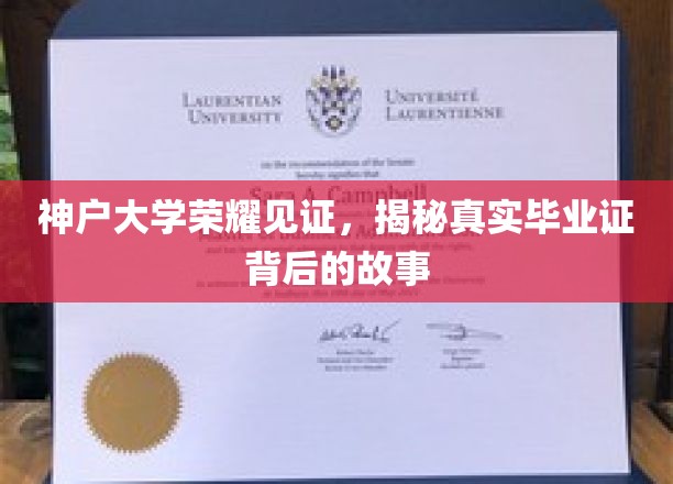 神户大学荣耀之光，一纸毕业证背后的传奇历程揭秘