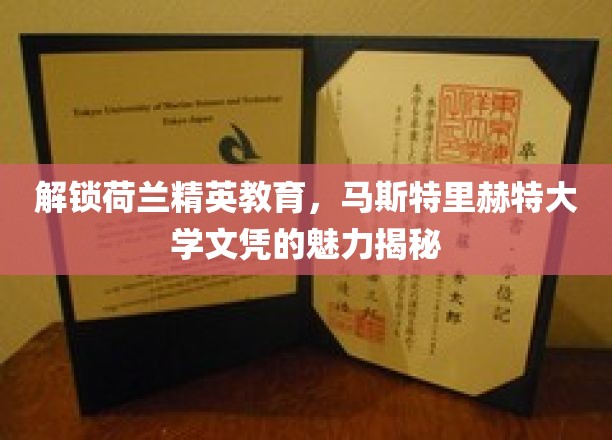 荷兰精英学府之选，马斯特里赫特大学学位的璀璨价值探索