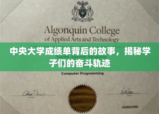 中央大学成绩单背后的故事，揭秘学子们的奋斗轨迹