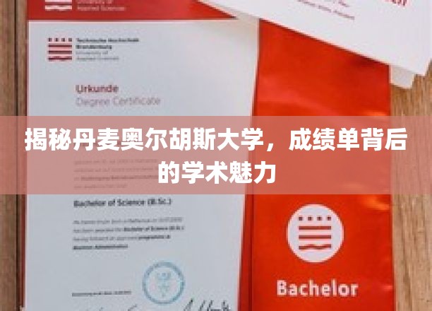 解锁奥尔胡斯大学，成绩单里的学术奥秘探索